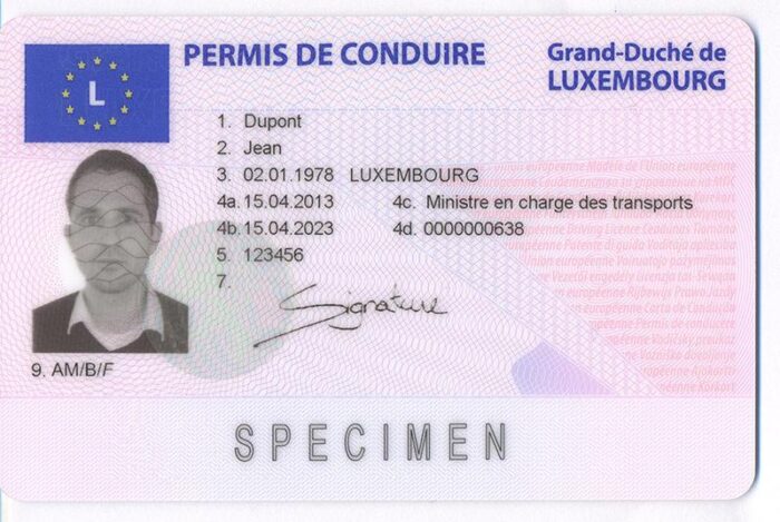 Buy Luxembourg Driver License